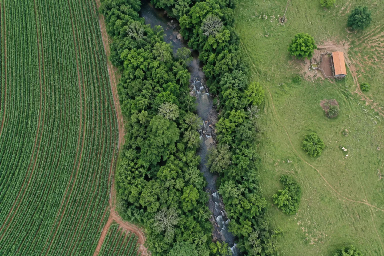Vista aérea vertical de área rural, com cultivo, vegetação e curso d’água