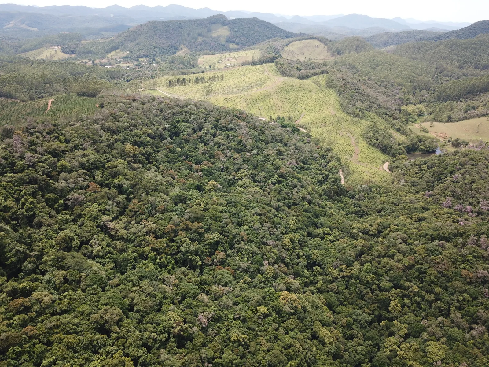 Registro da Ecoative para leitura da paisagem e da vegetação