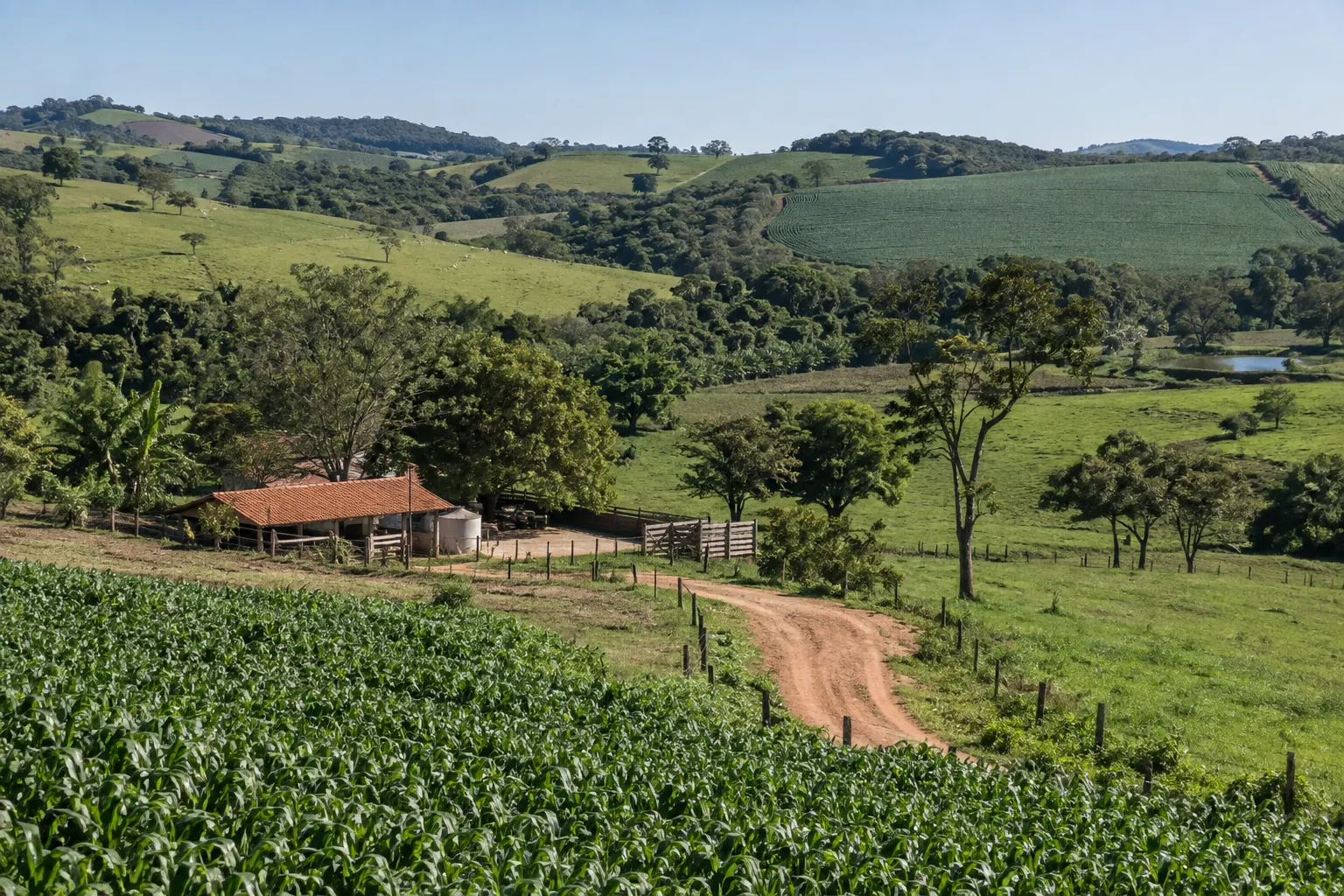 Propriedades rurais