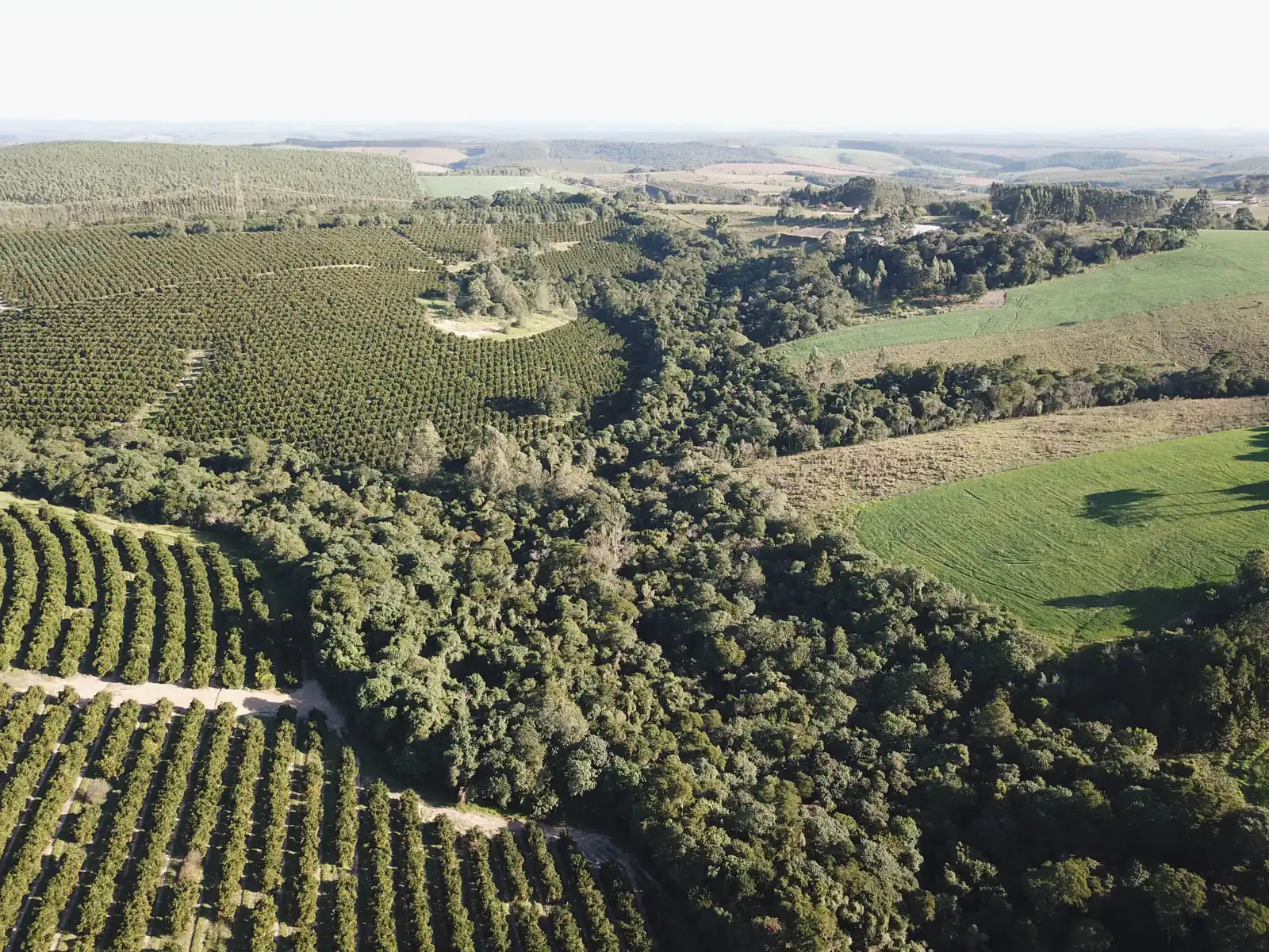 Fotogrametria com drone: do voo aos produtos técnicos