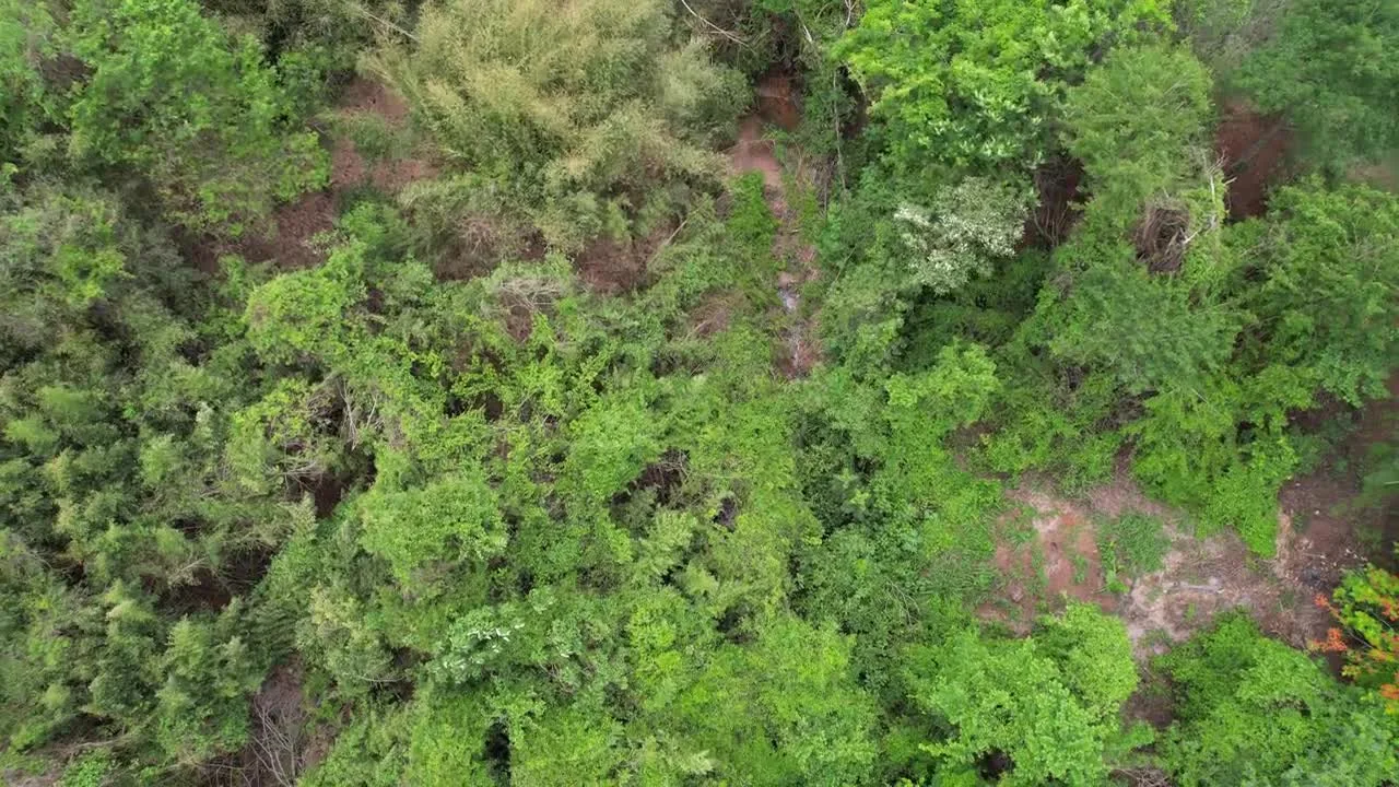 Registro aéreo da Ecoative sobre corpo d’água e vegetação no entorno.